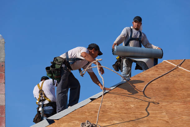Best Gutter Installation and Roofing  in Shelby, MI