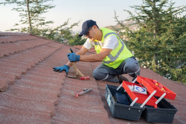 Best Roof Leak Repair  in Shelby, MI